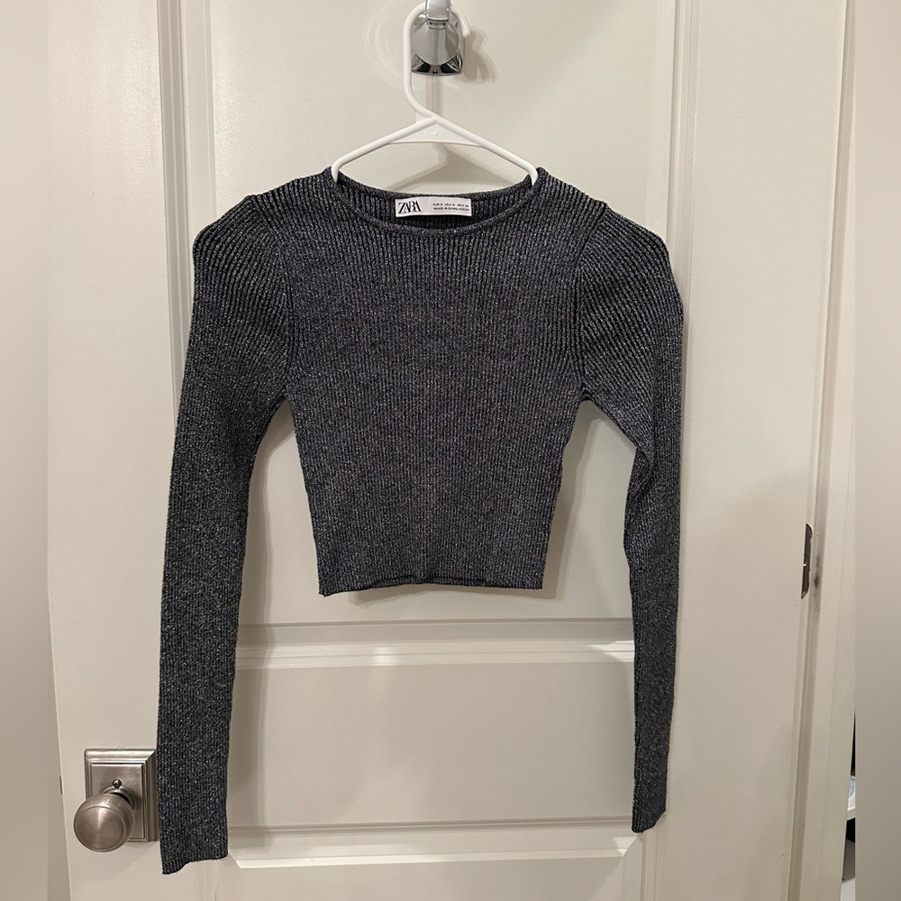Zara long sleeve crop top